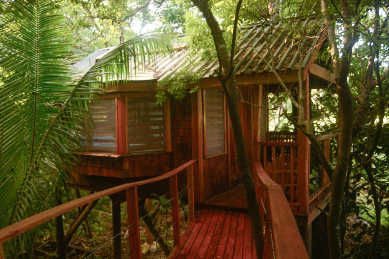 Tukulolo Treehouses Makaunga Экстерьер фото