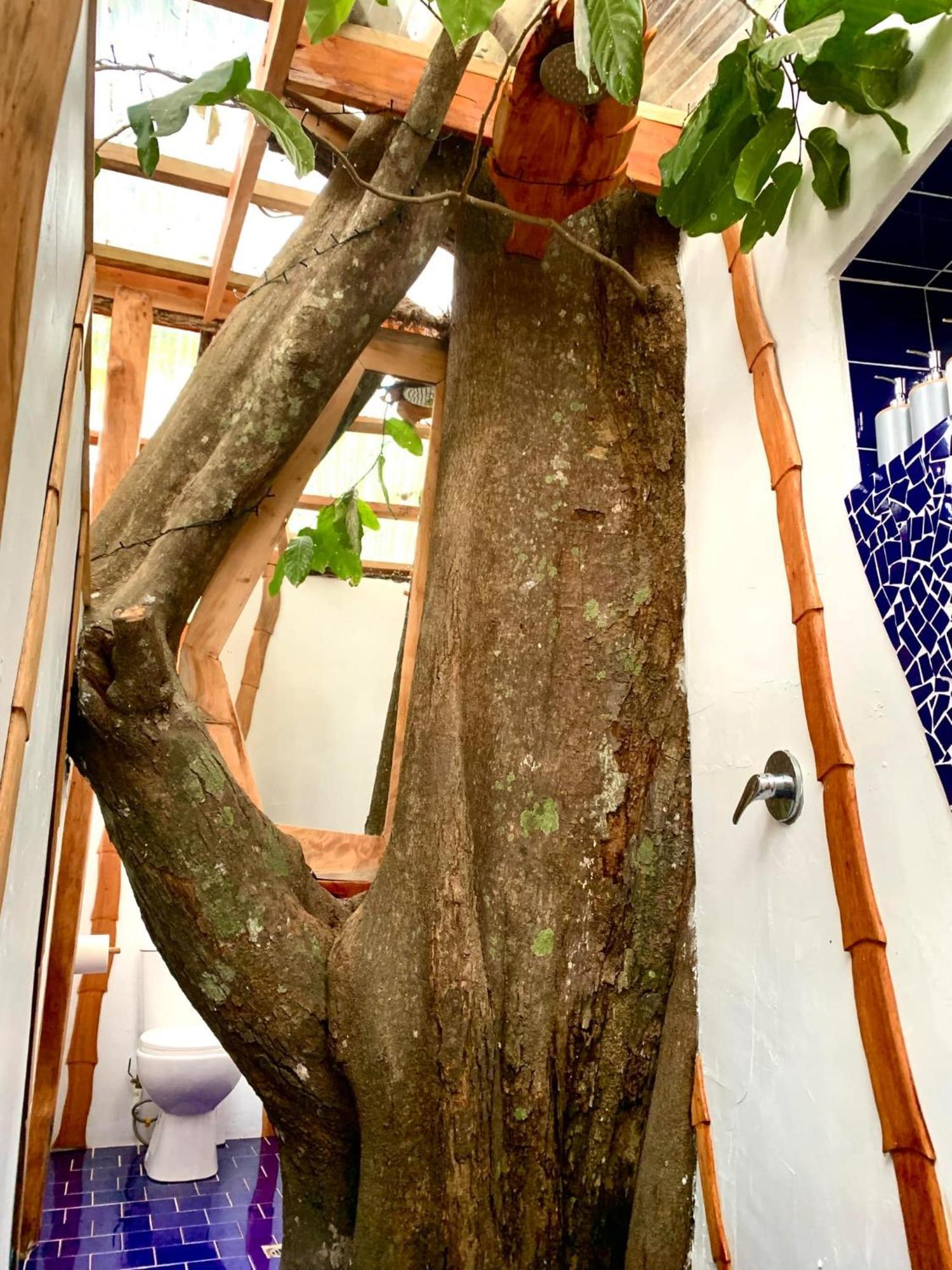 Tukulolo Treehouses Makaunga Экстерьер фото